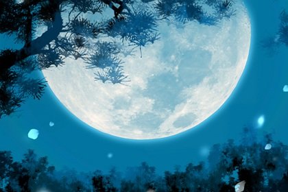 好听的茶叶公司名字 茶叶名字怎么起好