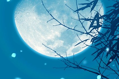 贸易公司起名大全 贸易公司的名字取什么好