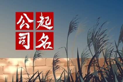 与晟搭配的公司起名 晟字的公司名三个字