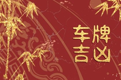 车牌号码加起来什么数字好 相加吉利数的查询方法