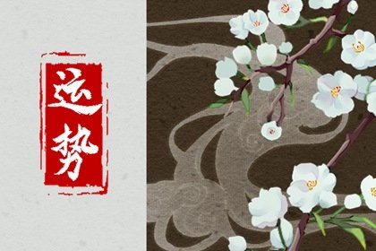 杨清华 十二生肖一周运势2025.2.17-2.23