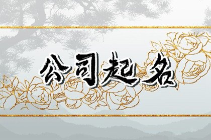 寓意深刻公司名称 比较国际化的公司名字