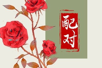手机尾号豹子号价值 吉祥如意的手机尾号66