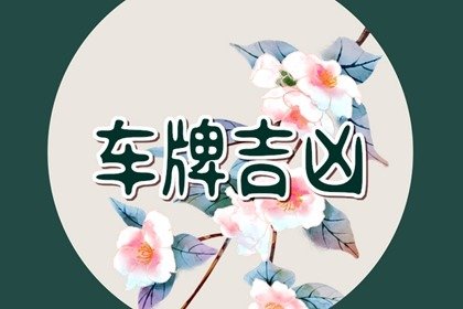 车牌号290吉利吗 290数字命理