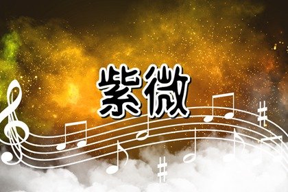 紫微斗数天相丑未入命解析 紫微命盘解析天相在丑未宫