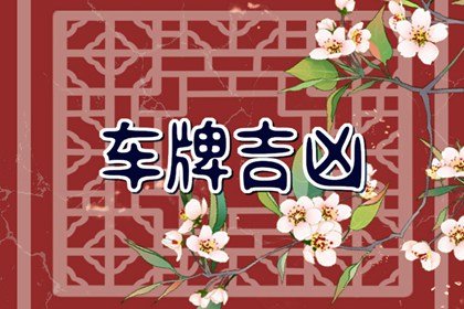 为什么车牌号越乱越好 杂乱车牌增加安全性