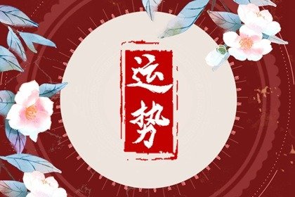 第一运程 2024年12月11日十二生肖运势解析