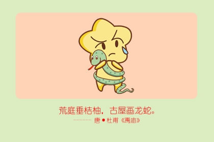 2025十二生肖运程